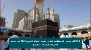 750 ألف جنيه.. تسهيلات تمويل عمرة المولد النبوي 2025 من بنوك مصر بسهولتها القصوى